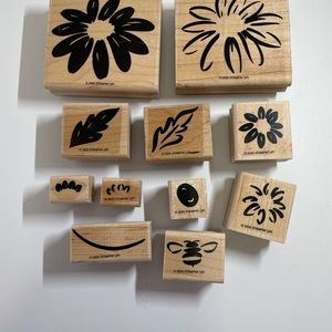 Stampin' Up Definitely Decorative DAISY Set
